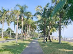 -深圳湾公园(南山区)