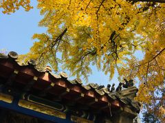 -青岛崂山太清宫