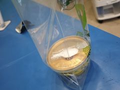 -德禄酸奶(莫家街店)