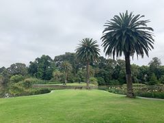 -墨尔本皇家植物园