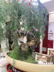 -复旦大学附属妇产科医院(杨浦院区)