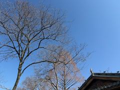 -绩溪龙川景区