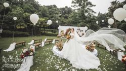 -米迪婚礼