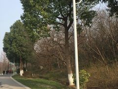 -太子山公园(园东路)