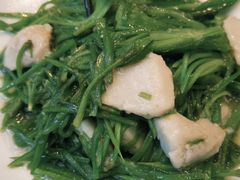 -福照楼汽锅鸡·云南特色菜(护国路店)