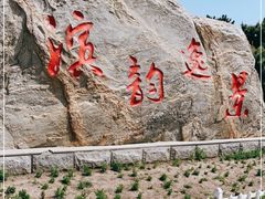 -塘沽森林公园