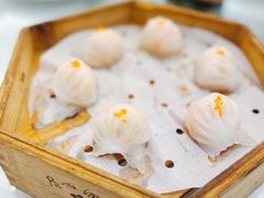 金鼎鲜味虾饺皇-广州酒家(昌岗地铁站店)