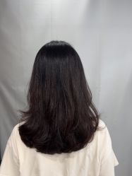 -镁连社·美联社