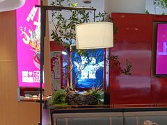 -老板恋上鱼(恒隆广场店)