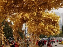 -重庆市江北嘴中央商务区中央公园