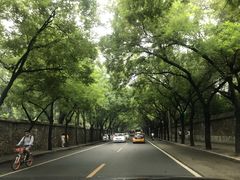 -茶花妹子云南餐厅(北大店)