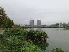 -尚贤河湿地