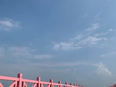 -金沙湖旅游度假区