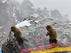 -南昌动物园