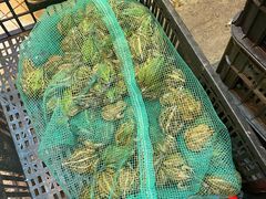 -鸿顺老铁锅美蛙鱼府(解放碑店)