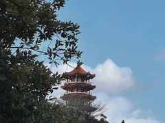 -深圳仙湖植物园