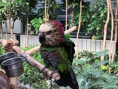 -南宫五洲植物乐园