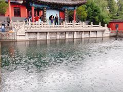 -百脉泉景区