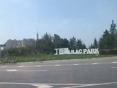 -丁香湖公园