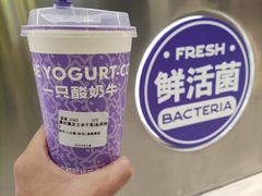 -一只酸奶牛(兰州中心店)