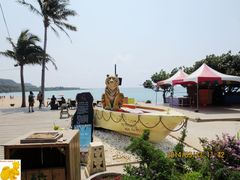 -白沙湾海滩