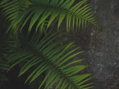 -远山有窑
