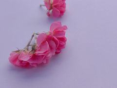-苏州海洋馆