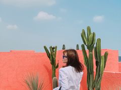 -漳州滨海火山岛自然生态风景区