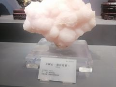 -湖南省地质博物馆