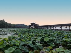 -观桥阁(锦溪店)