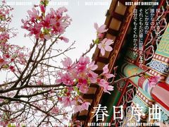 -宝墨园景区