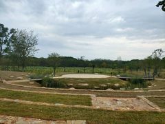 -盘龙城国家考古遗址公园