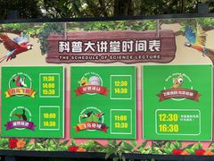 -广州长隆飞鸟乐园
