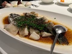 -南麓·浙里(外滩店)