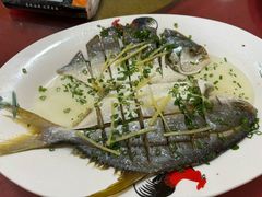 清蒸白鲳鱼-伟记牛蹄(道滘店)
