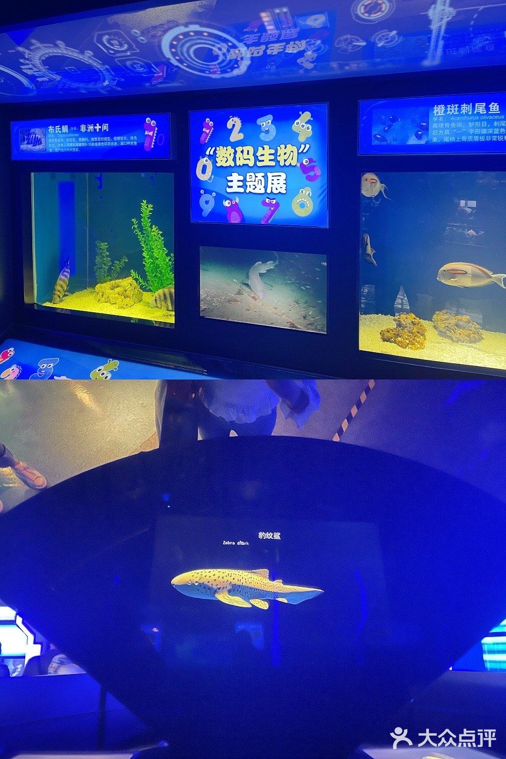 超出片｜青岛海底世界🐠小长假约起来