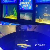 超出片｜青岛海底世界🐠小长假约起来