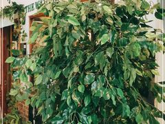 -守望者书店(南开大悦城店)