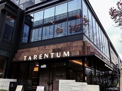 -元古雲境(南京万象天地店)