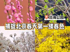 -北海公园