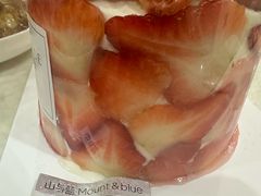 -山与蓝·轻糖鲜果蛋糕(勒泰店)