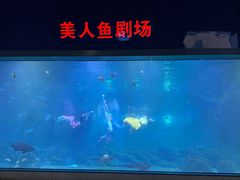 -福州罗源湾海洋世界旅游区