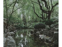-趵突泉景区