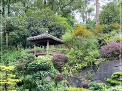 -南山植物园