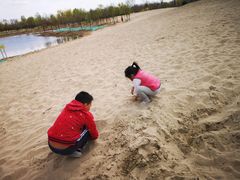 -东郊湿地公园