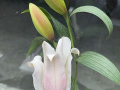 -九老汉·川渝江湖菜(合川路2店)