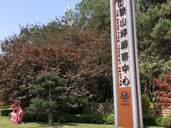 -铁山坪森林公园