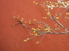-钱王祠