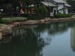-江头公园