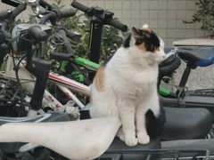 -长安大学(北校区)